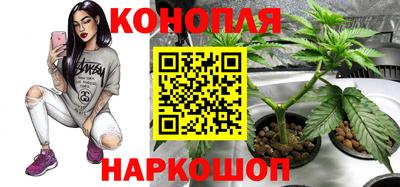 соль ск Новокубанск